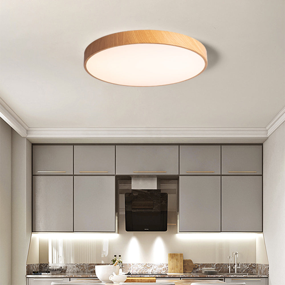 Concise Modern Wrought Iron Ceiling Light