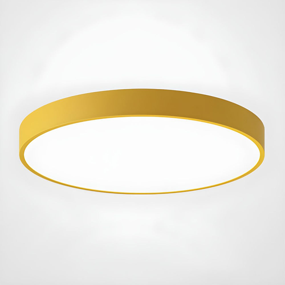 Circular Modern LED Flush Mount Ceiling Light