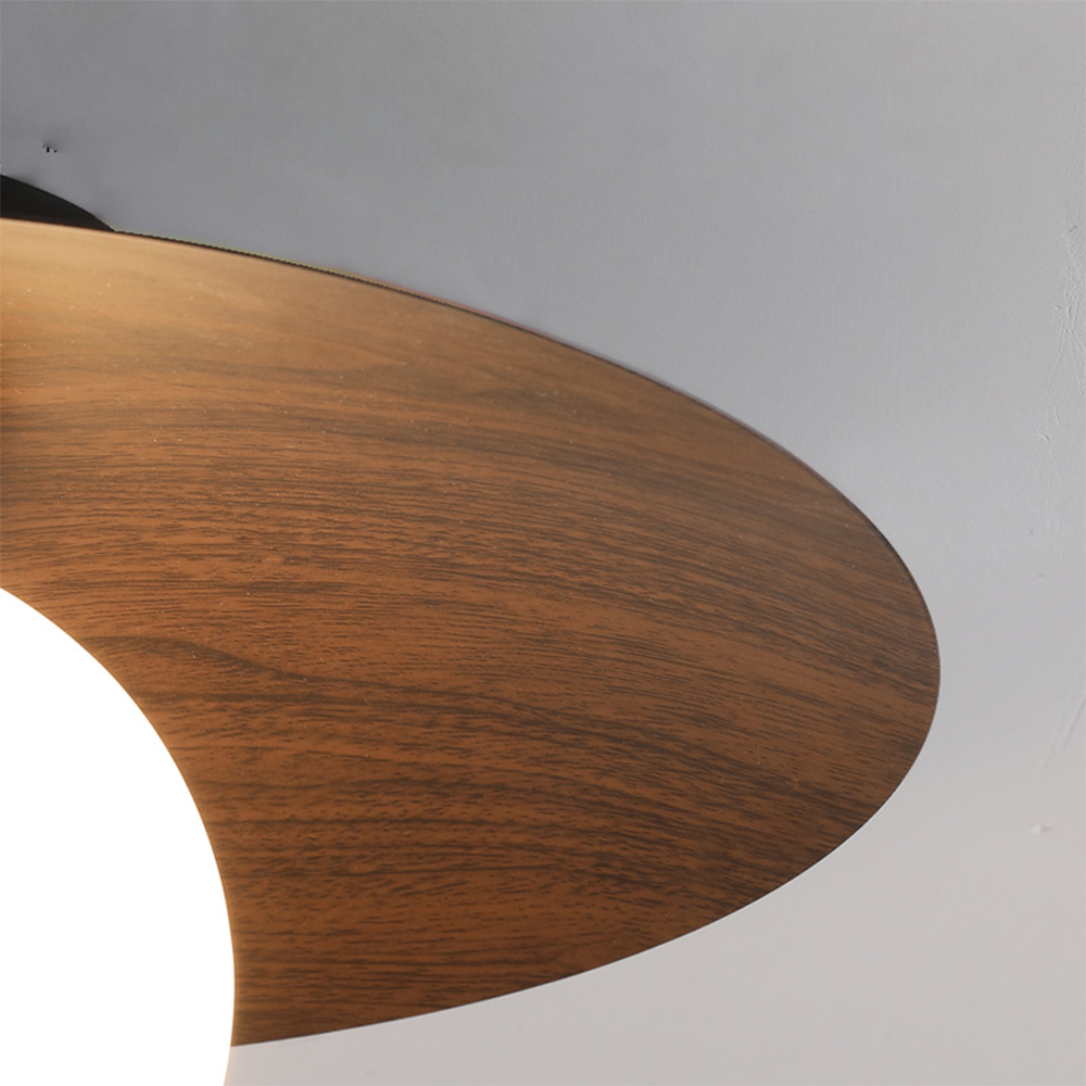 Minimalist Modern Entrance Ceiling Lights