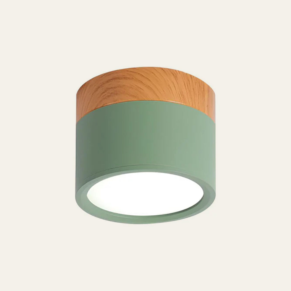 Modern Cylinder Small Flush Mount Ceiling Light