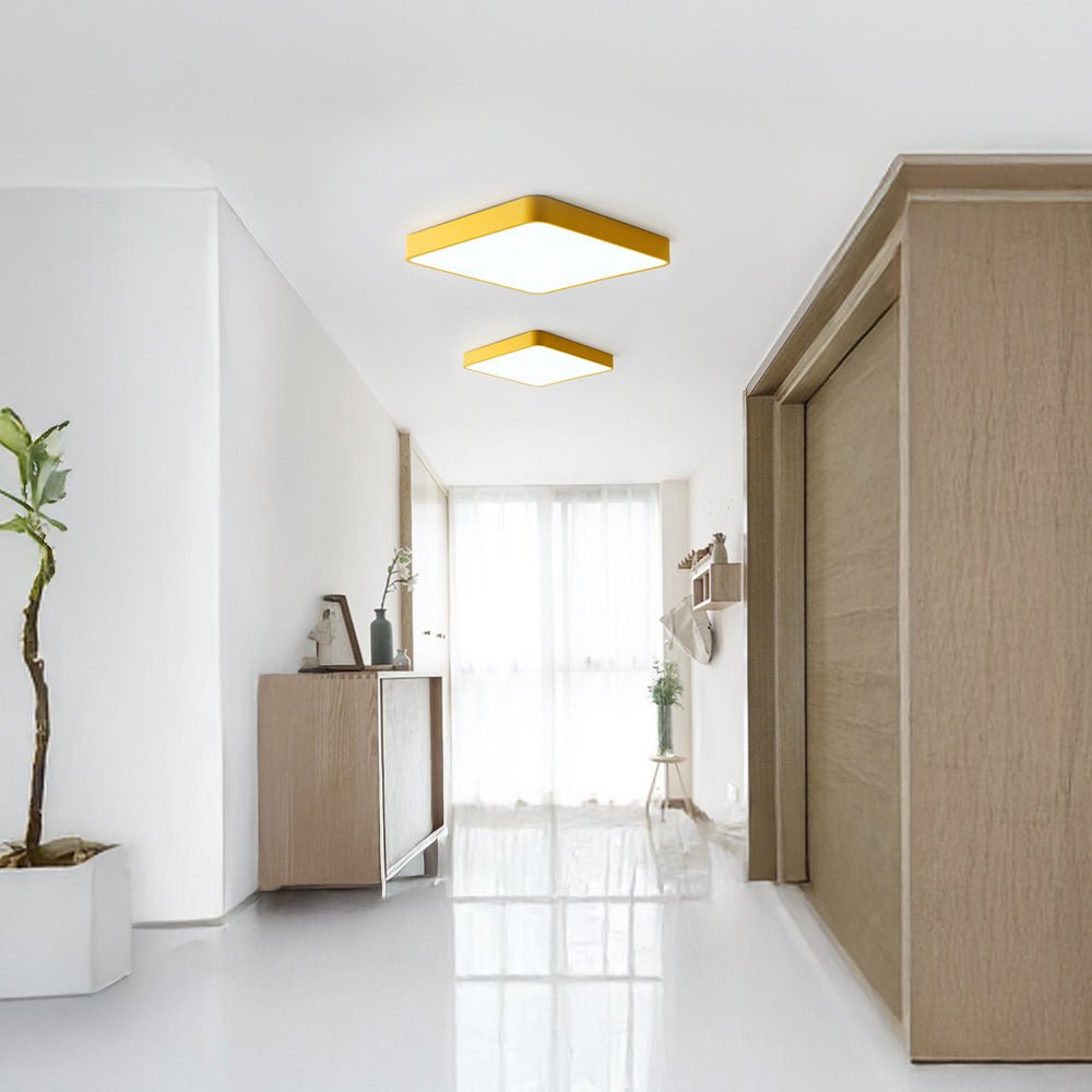 Modern Flush LED Ceiling Light For Living Room