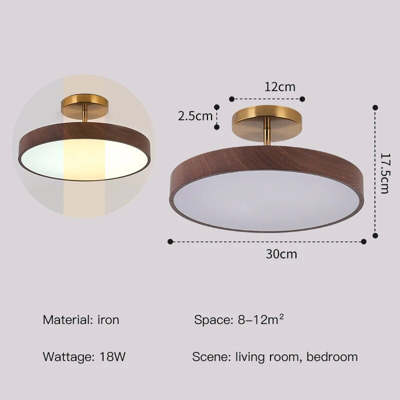 Modern LED Semi-Flush Ceiling Lamp