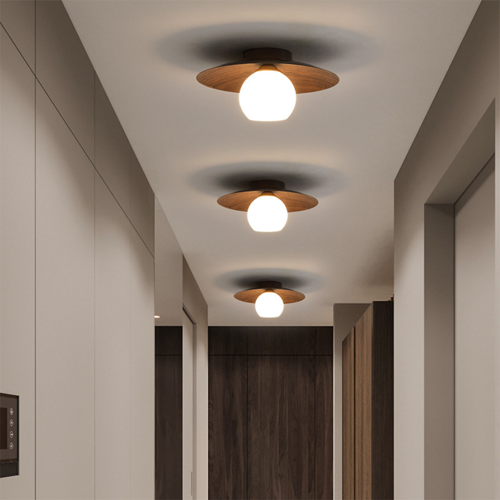 Minimalist Modern Entrance Ceiling Lights