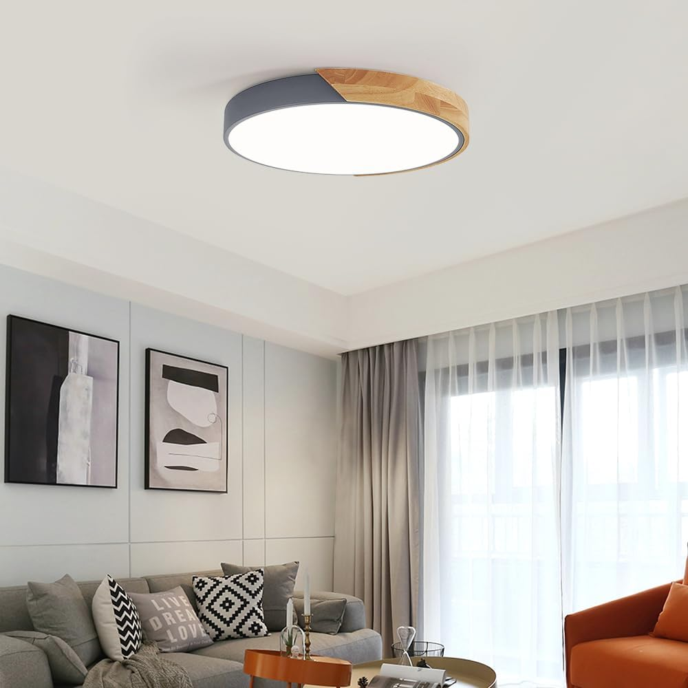Colorful Minimalist LED Round Ceiling Light