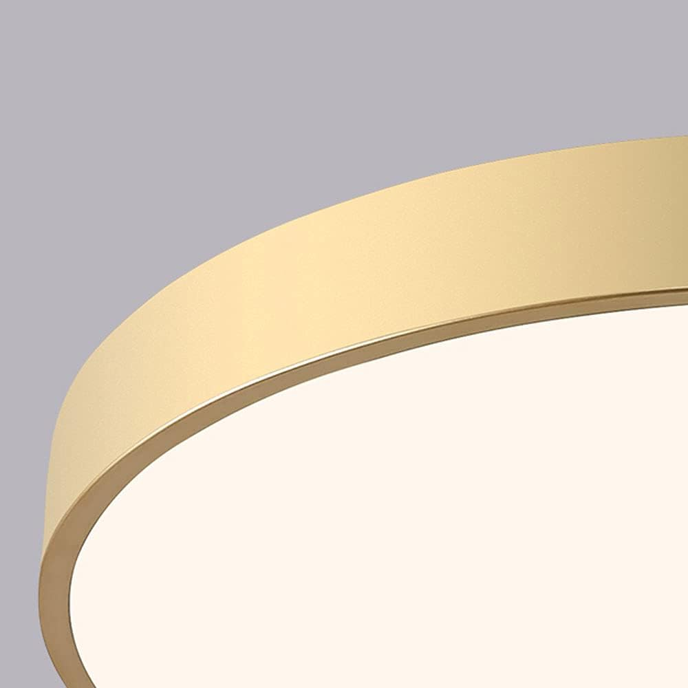 Circular Modern LED Flush Mount Ceiling Light