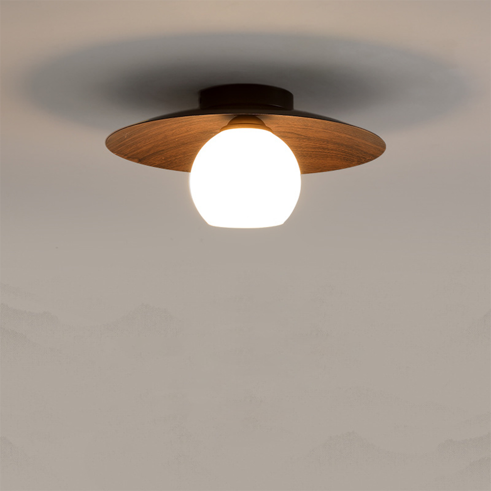 Minimalist Modern Entrance Ceiling Lights
