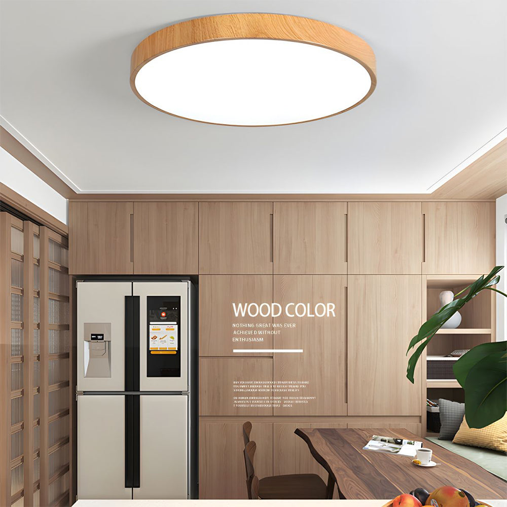 Concise Modern Wrought Iron Ceiling Light