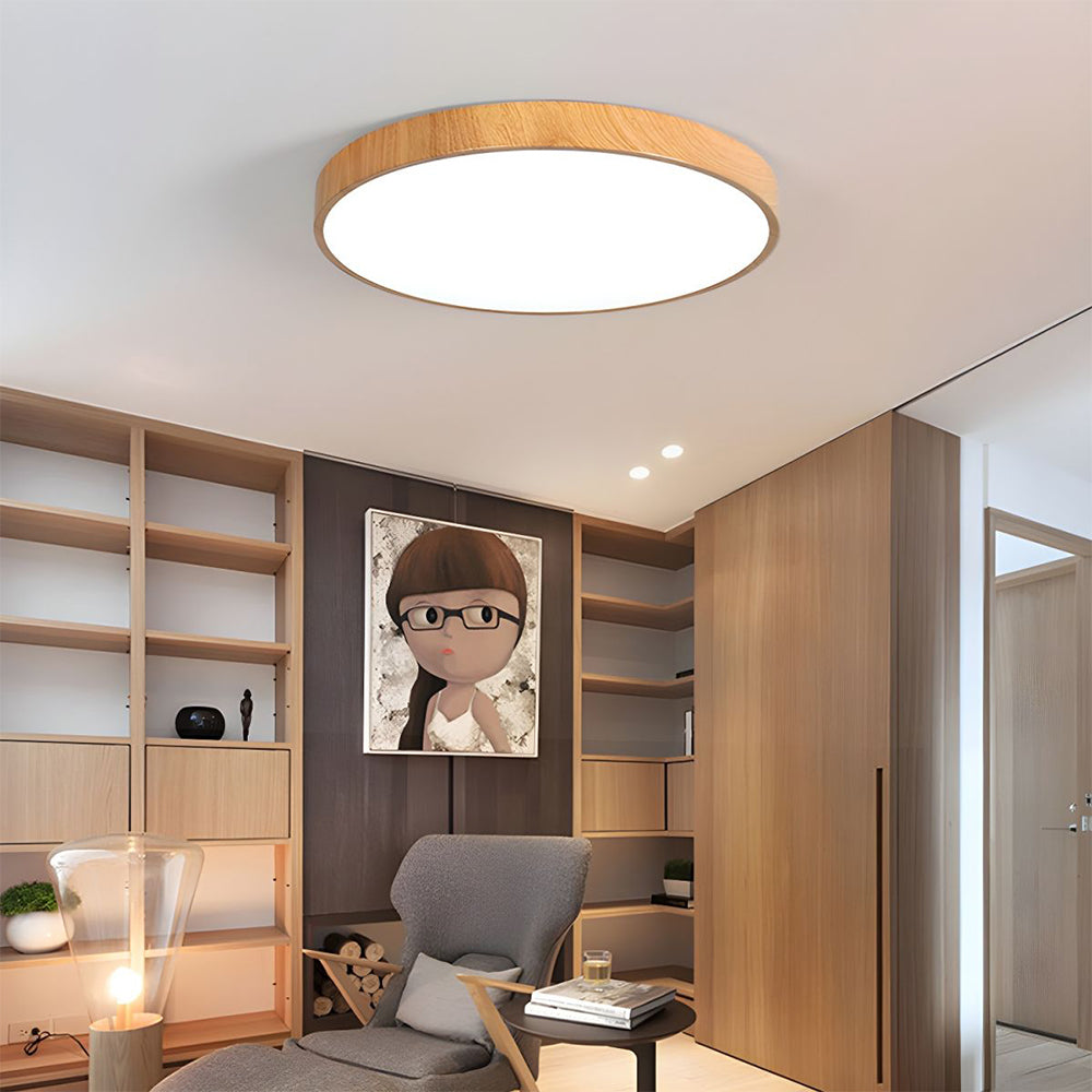 Concise Modern Wrought Iron Ceiling Light