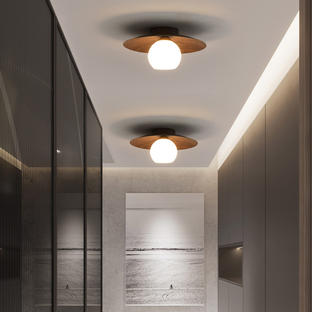 Minimalist Modern Entrance Ceiling Lights
