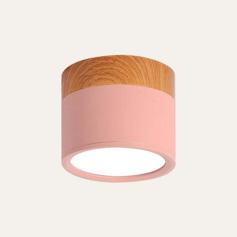 Modern Cylinder Small Flush Mount Ceiling Light