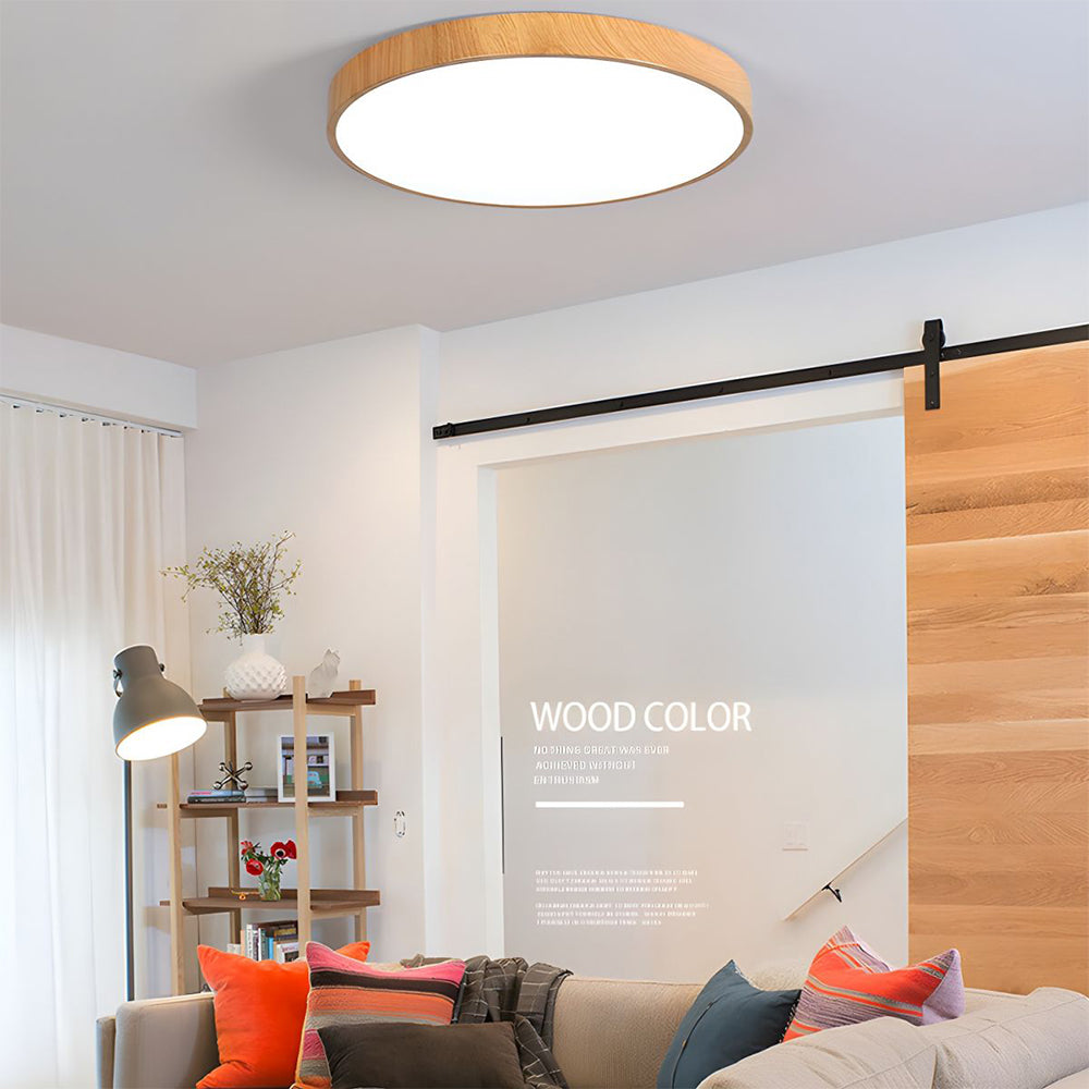 Concise Modern Wrought Iron Ceiling Light