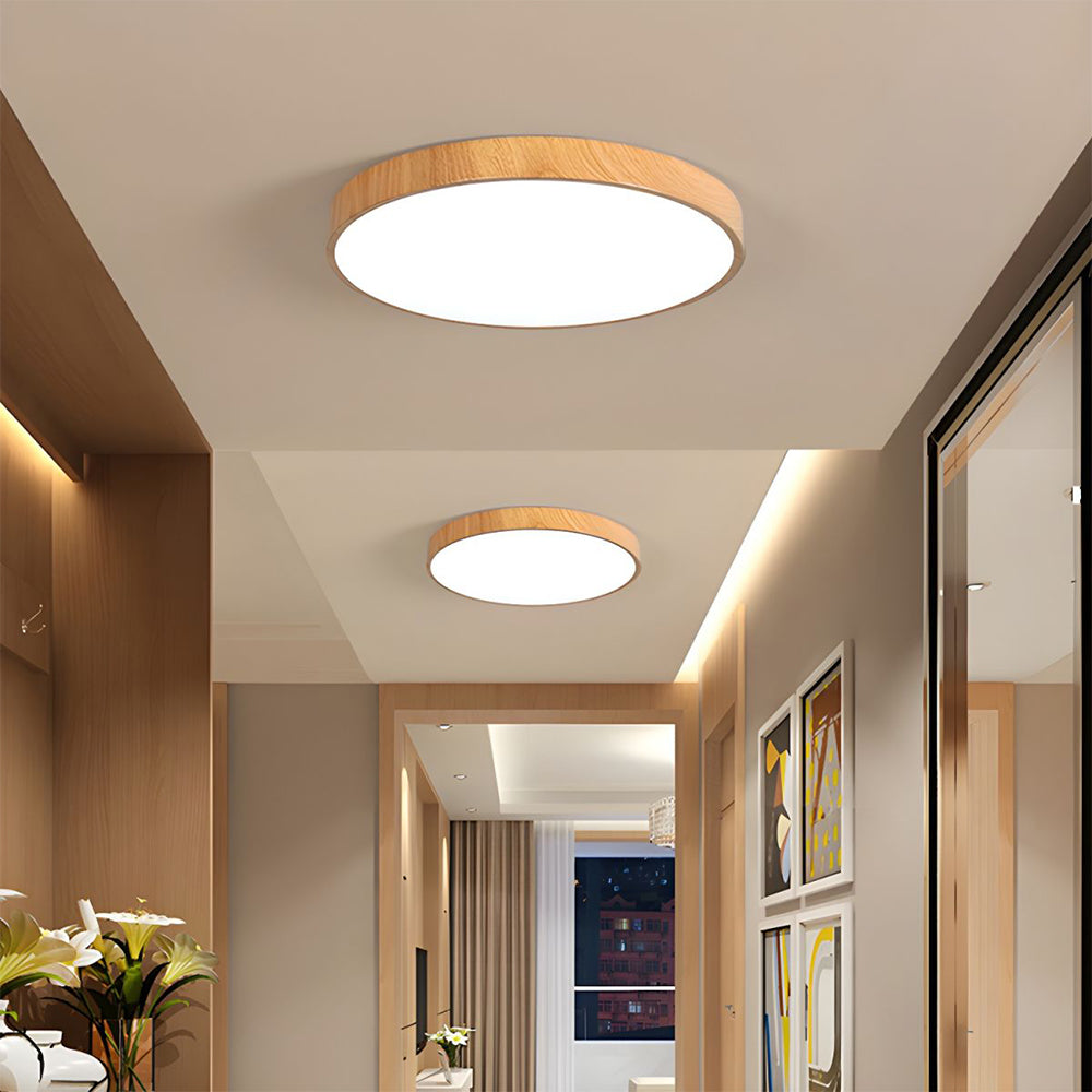 Concise Modern Wrought Iron Ceiling Light