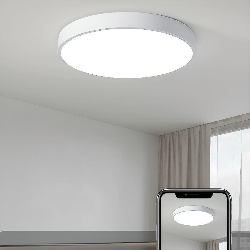 Circular Modern LED Flush Mount Ceiling Light