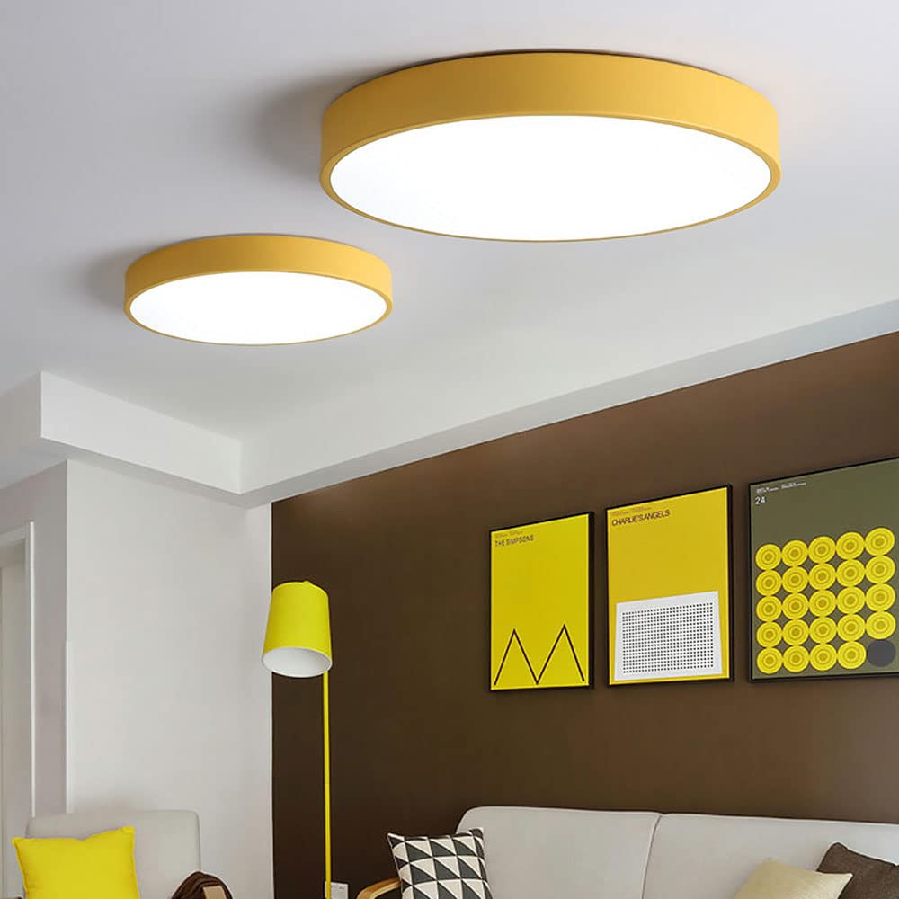 Circular Modern LED Flush Mount Ceiling Light