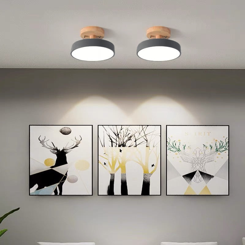 Bedroom Ceiling LED Lights