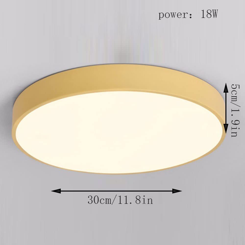 Circular Modern LED Flush Mount Ceiling Light