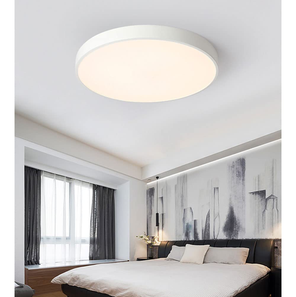 Circular Modern LED Flush Mount Ceiling Light