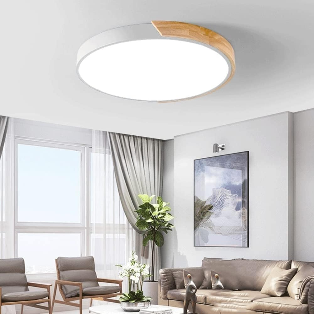 Colorful Minimalist LED Round Ceiling Light