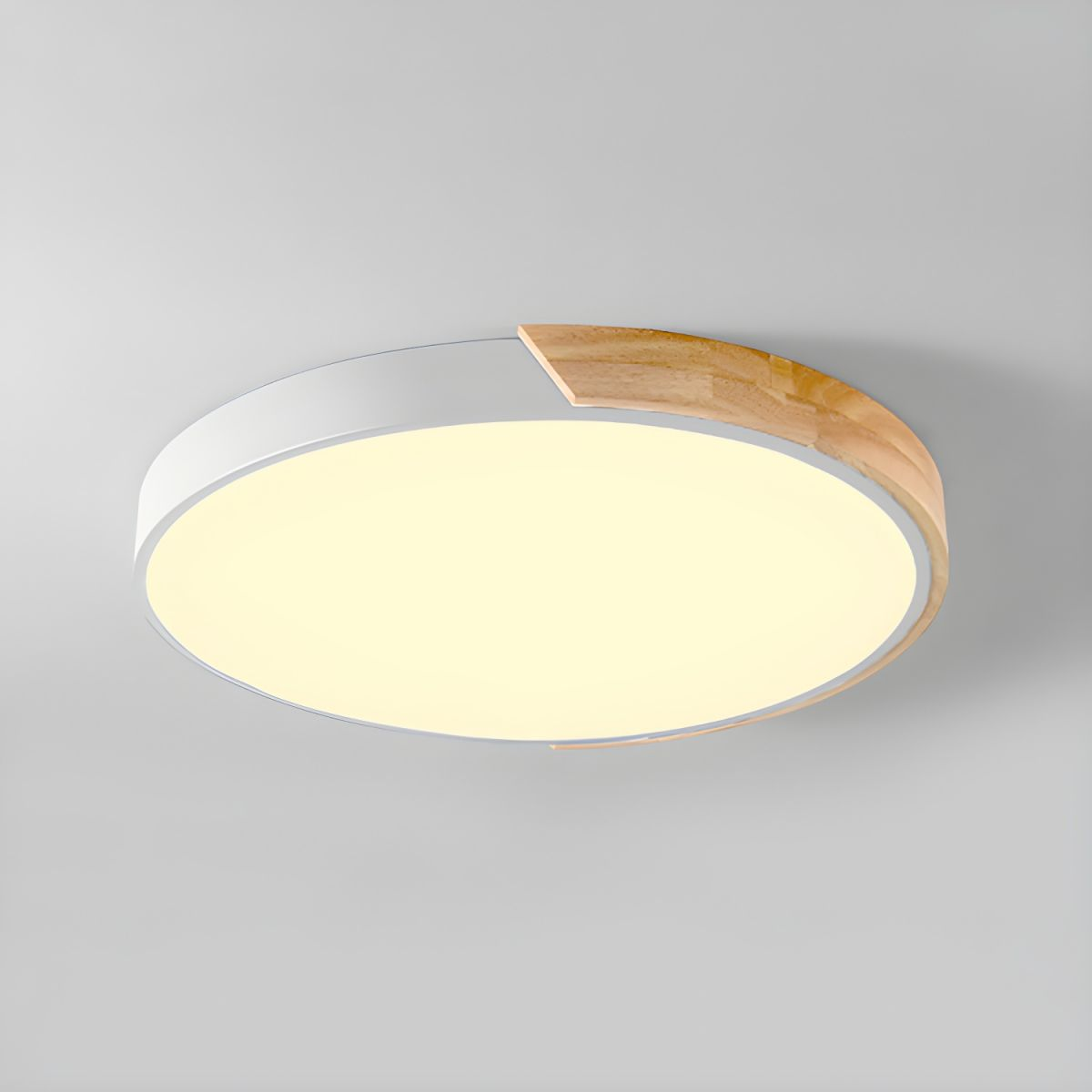 Colorful Minimalist LED Round Ceiling Light