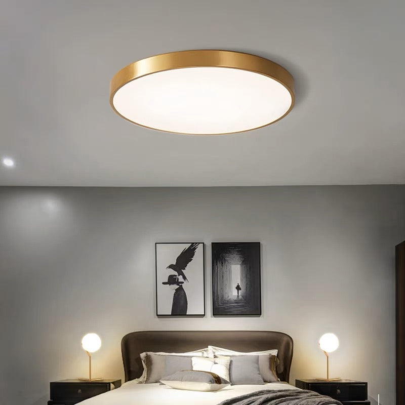 Circular Modern LED Flush Mount Ceiling Light