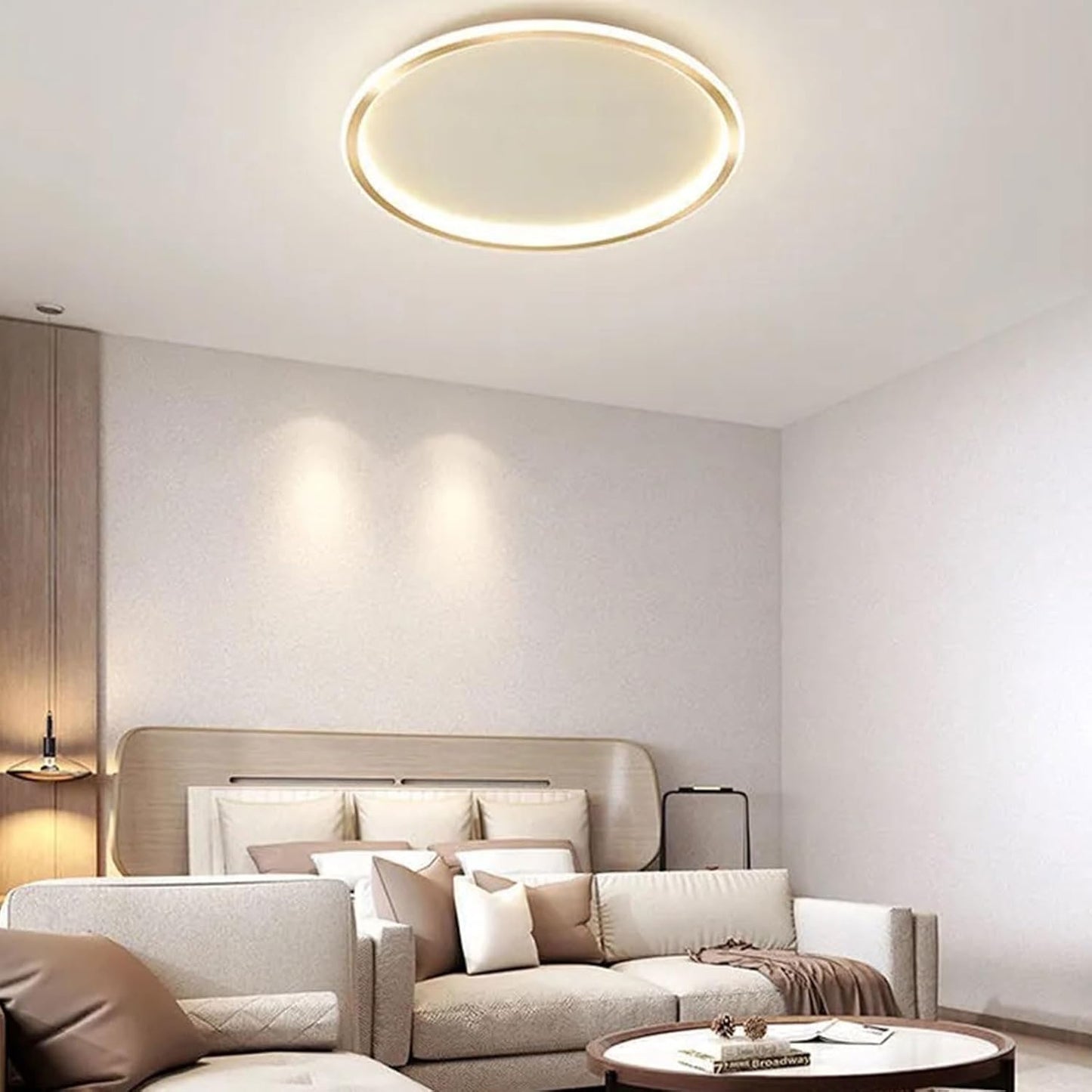 Nordic Minimalist Disc LED Ceiling Light