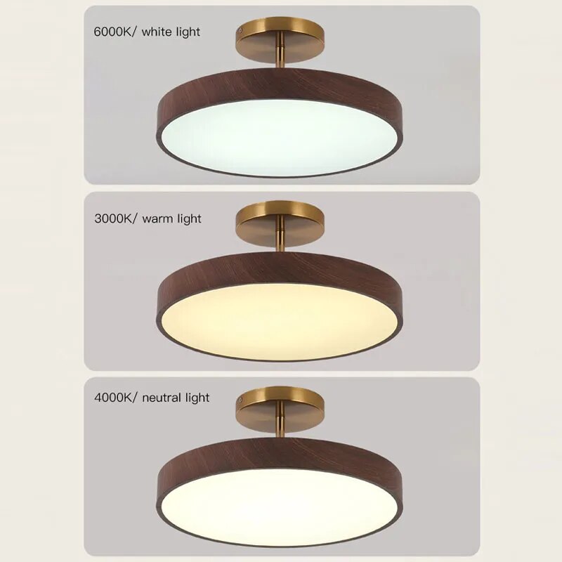 Modern LED Semi-Flush Ceiling Lamp