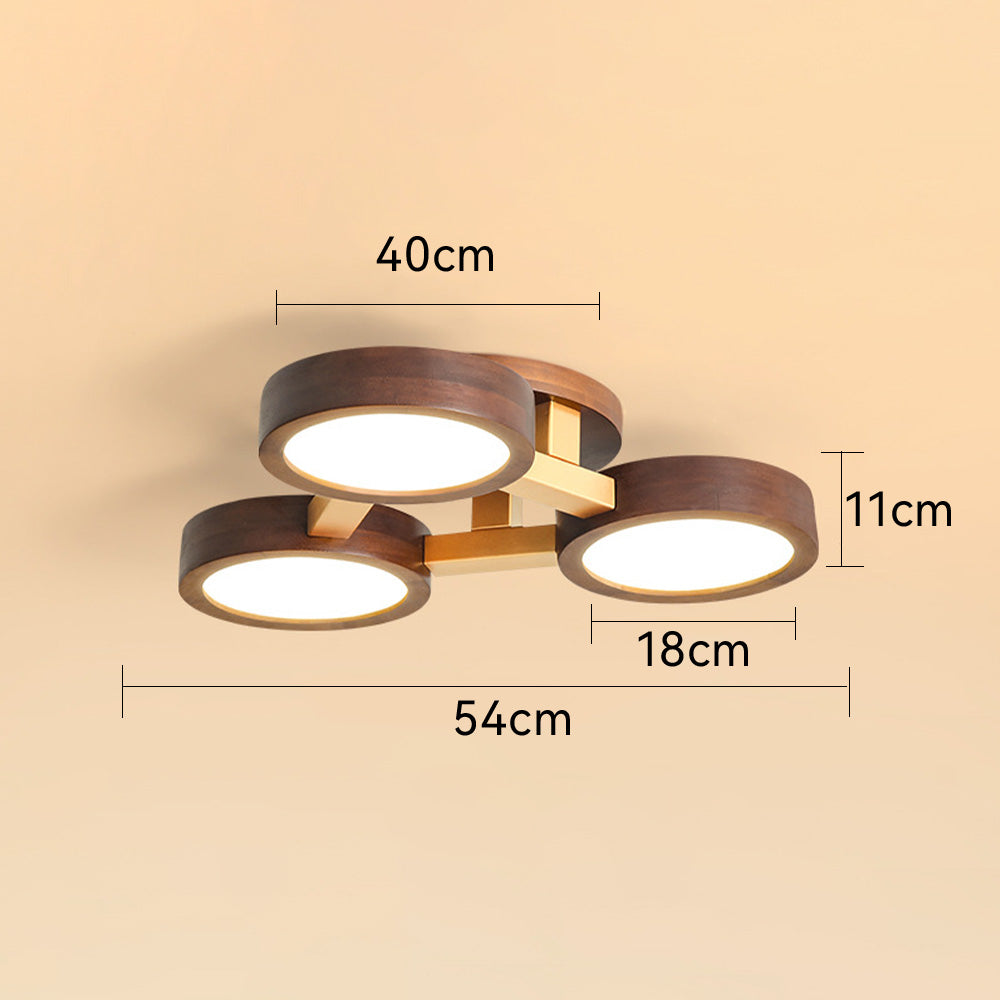 Iron Wood Modern LED Bedroom Ceiling Light