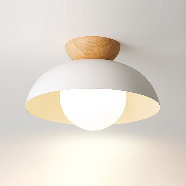 Nordic Minimalist Eco-Friendly Ceiling Light