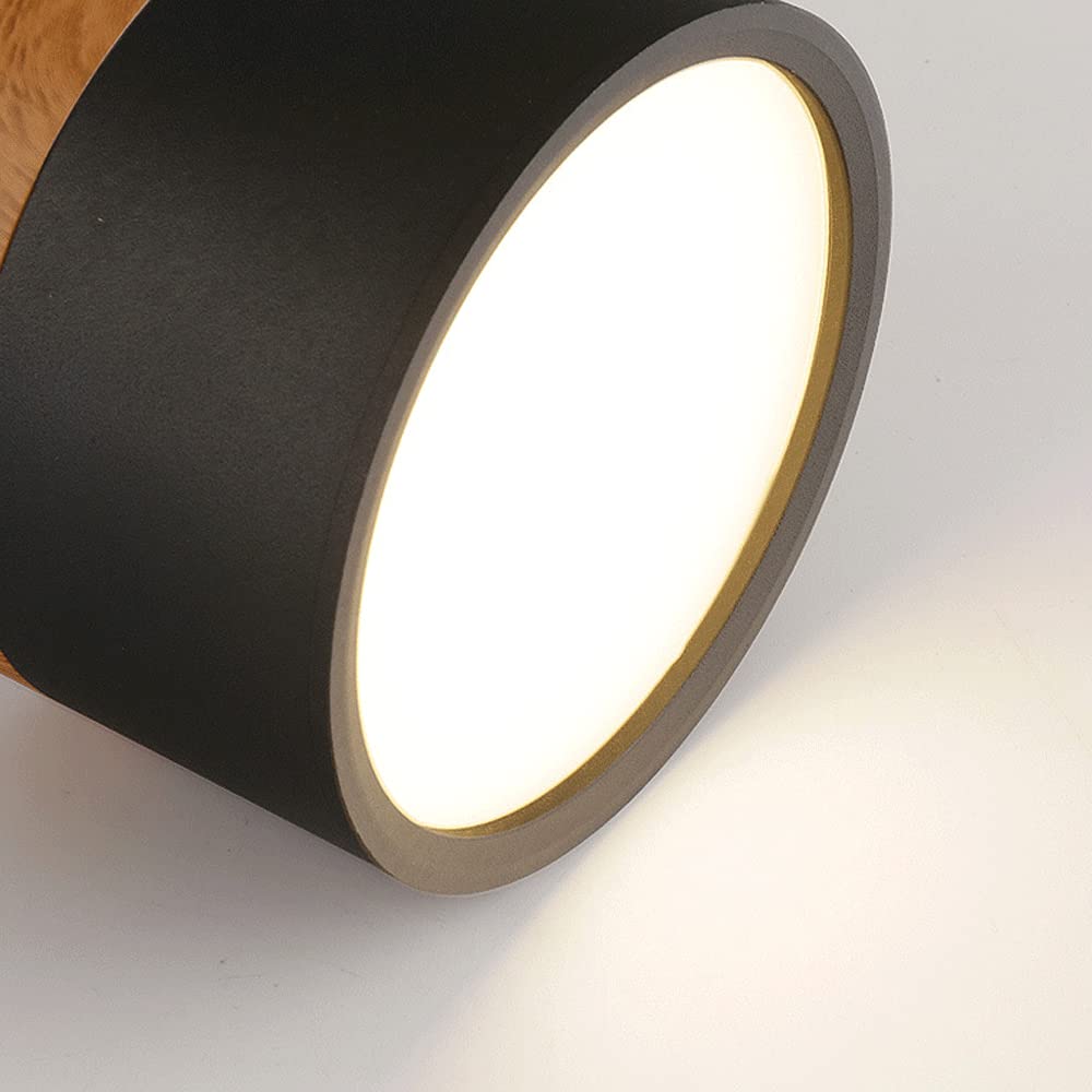 Outside Mini LED Porch Lights