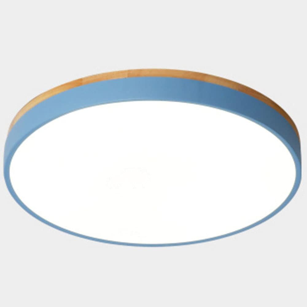 Modern LED Living Room Ceiling Light