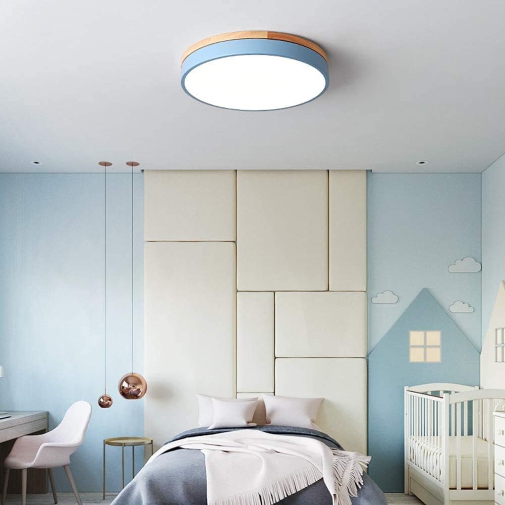 Modern LED Living Room Ceiling Light