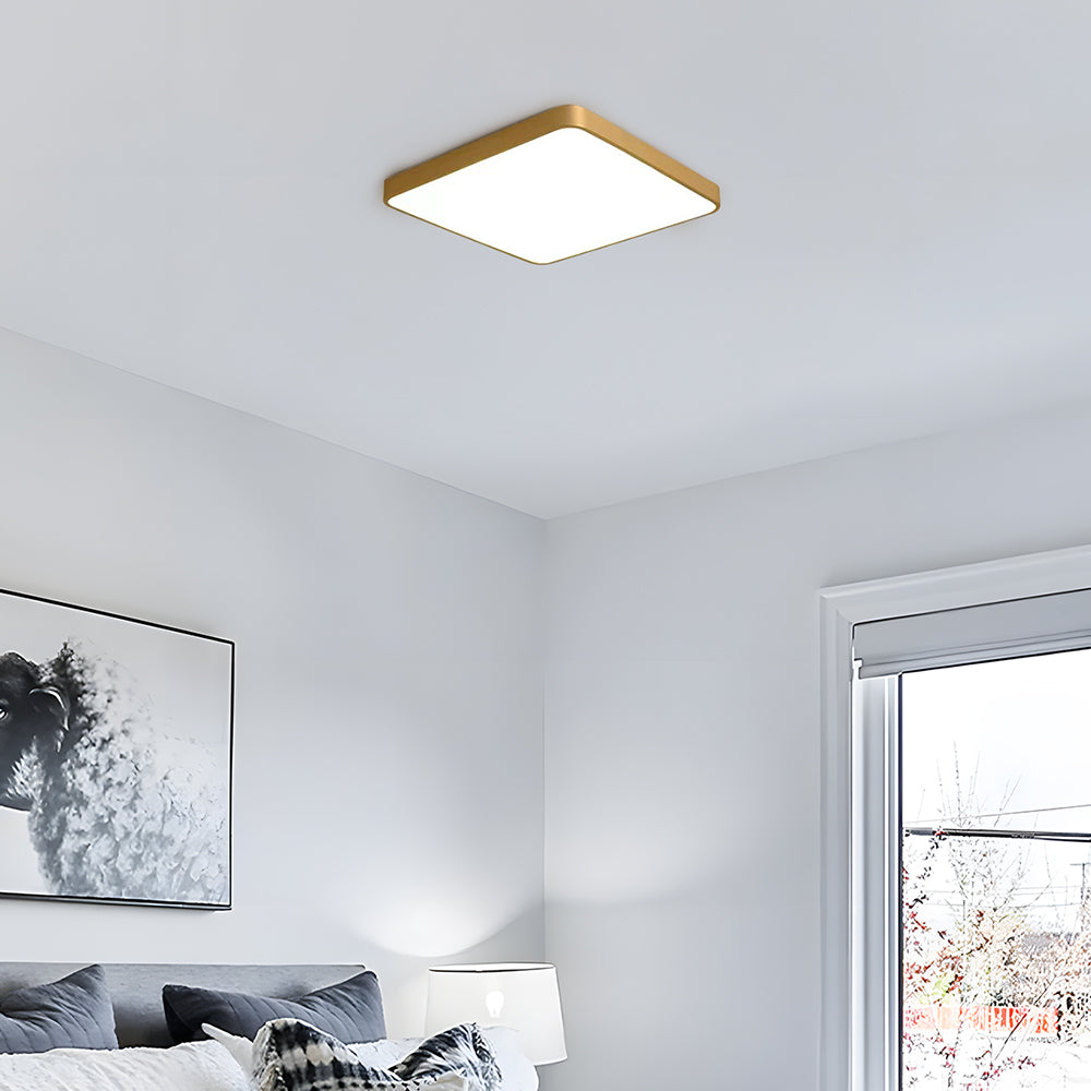 Modern Flush LED Ceiling Light For Living Room