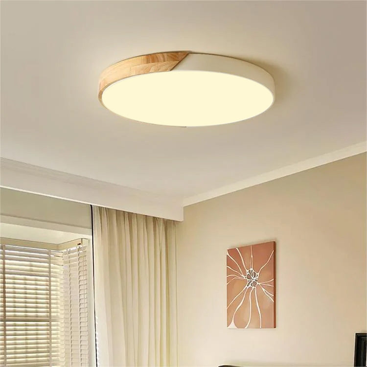Colorful Minimalist LED Round Ceiling Light