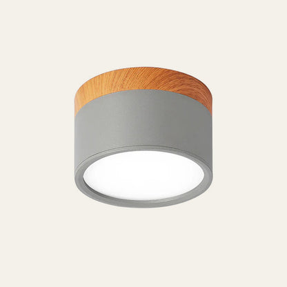 Modern Cylinder Small Flush Mount Ceiling Light