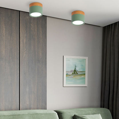 Modern Cylinder Small Flush Mount Ceiling Light
