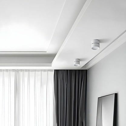 Mini Modern Adjustable Surface Mounted Ceiling Lamp