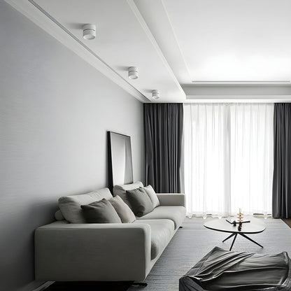 Mini Modern Adjustable Surface Mounted Ceiling Lamp