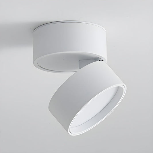 Mini Modern Adjustable Surface Mounted Ceiling Lamp