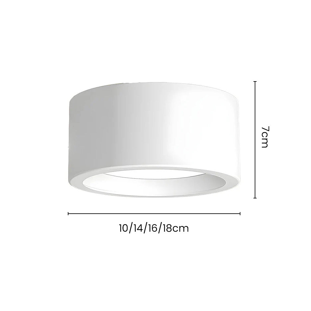 Nordic Modern Indoor Ceiling Lights