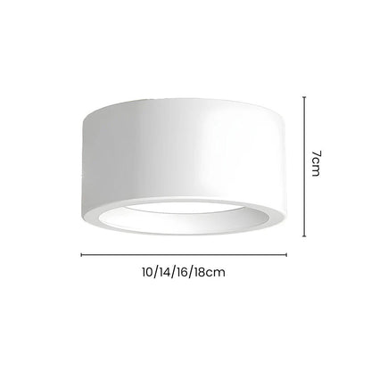 Nordic Modern Indoor Ceiling Lights