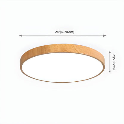 Concise Modern Wrought Iron Ceiling Light