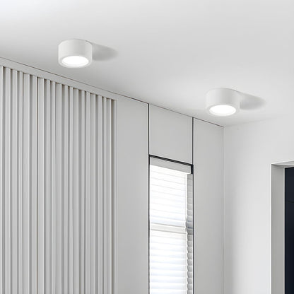 Nordic Modern Indoor Ceiling Lights