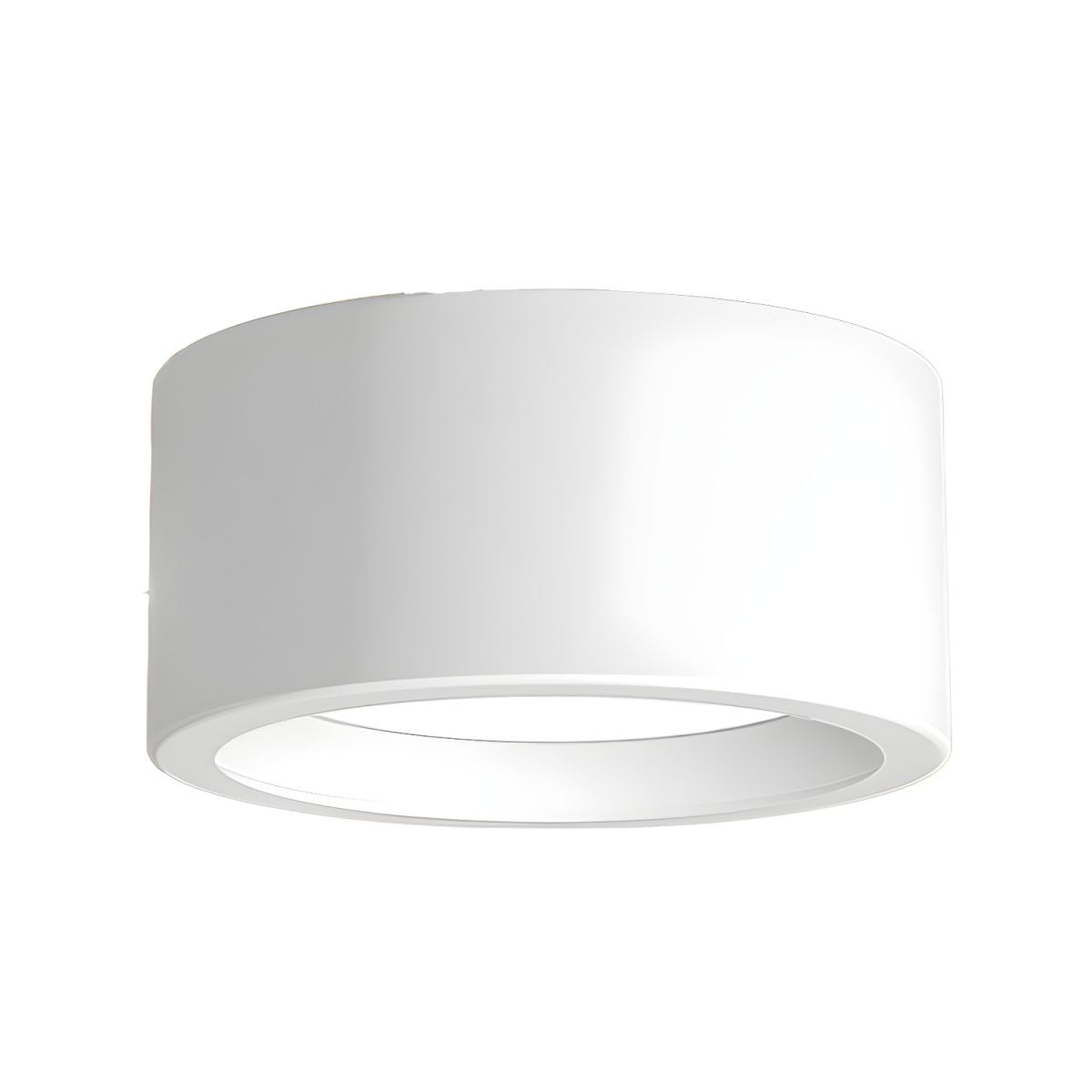 Nordic Modern Indoor Ceiling Lights