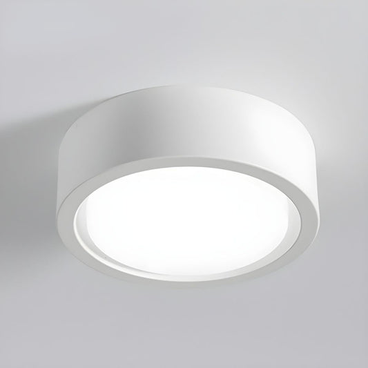 Nordic Modern Indoor Ceiling Lights