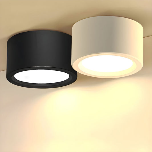 Nordic Minimalist Surface Mounted LED Ceiling Light