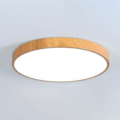 Concise Modern Wrought Iron Ceiling Light