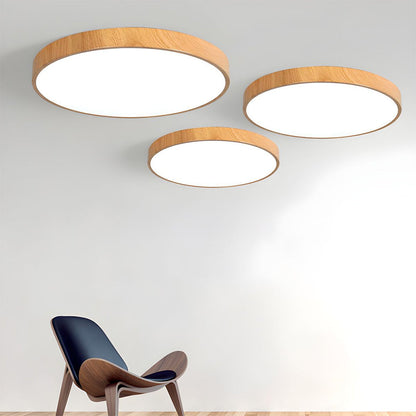 Concise Modern Wrought Iron Ceiling Light