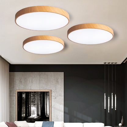 Concise Modern Wrought Iron Ceiling Light