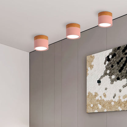 Modern Cylinder Small Flush Mount Ceiling Light