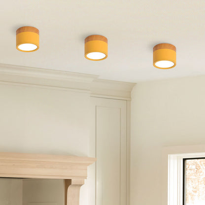 Modern Cylinder Small Flush Mount Ceiling Light